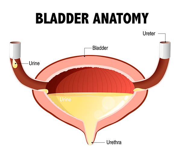 conditions treated, treatment for bladder cancer, bladder cancer